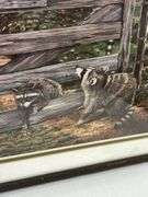 Framed Print of Raccoons on a Fence by Steve St. Clair