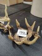 DEER ANTLER PAPER TOWEL HOLDER WITH SALT AND PEPPER HOLDER AND COASTER