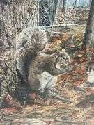 Framed Steve St. Clair Print - Squirrels in Autumn