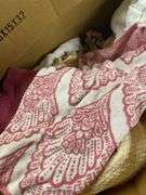 Large Box Lot of Assorted Towels