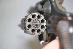 Firearms International Corporation The Regent Revolver In .22 LR Caliber,
