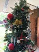 Assorted Decorated Christmas Trees with Ornaments