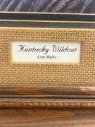 Framed "Kentucky Wildcat" Lynx Rufus Print by Steve Stolarz