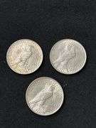 Three 1923 Peace Silver Dollars