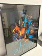 Framed 'Brilliance' Butterfly Graphic Print