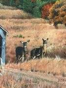 Steve St. Clair Deer and Covered Bridge Framed Print 509/750