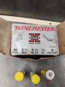 20 GAUGE SHOTGUN SHELLS