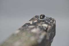 Glock Model 20 GEN 4 Camo Pistol In 10 MM Caliber,