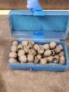 357 AMMO- MUZZLE LOAD BULLETS - SMALL RIFLE PRIMERS