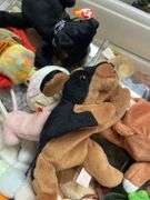 Large Collection of Beanie Babies