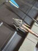 PSE Elite Series Compound Bow with Arrows and Case