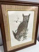 Steve St. Clair Signed Great Horned Owl Framed Print