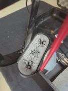 PSE Elite Series Compound Bow with Arrows and Case