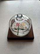Saltora 1981 Floral Cheese Dome and Wood Base