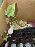 Mixed Box of Household Goods, Decor and Other Items