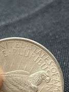 Three 1923 Peace Silver Dollars