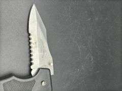 Gerber and Mossy Oak Knives
