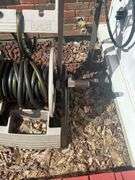 Ames Hose Reel Cart with Hose