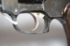 Firearms International Corporation The Regent Revolver In .22 LR Caliber,