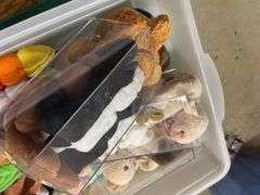 Large Collection of Beanie Babies