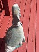 Decorated Concrete Goose Outdoor Decoration