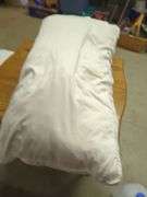 Beautyrest Heated Blanket and Pillows Lot