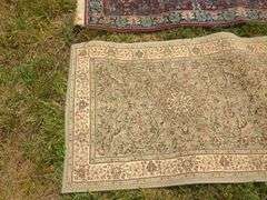 Pair of Decorative Area Rugs
