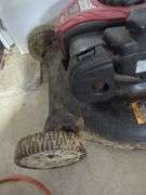Murray 21" Walk Behind Lawn Mower with Briggs & Stratton Engine