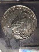 1923 ONE DOLLAR GENUINE FROM NUMISMATIC CONSERVATION SERVICES