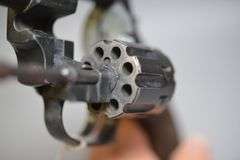 Firearms International Corporation The Regent Revolver In .22 LR Caliber,