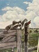 Framed Print of Raccoons on a Fence by Steve St. Clair
