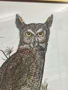Steve St. Clair Signed Great Horned Owl Framed Print