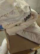 Beautyrest Heated Blanket and Pillows Lot