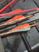PSE Elite Series Compound Bow with Arrows and Case