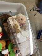 Large Collection of Beanie Babies