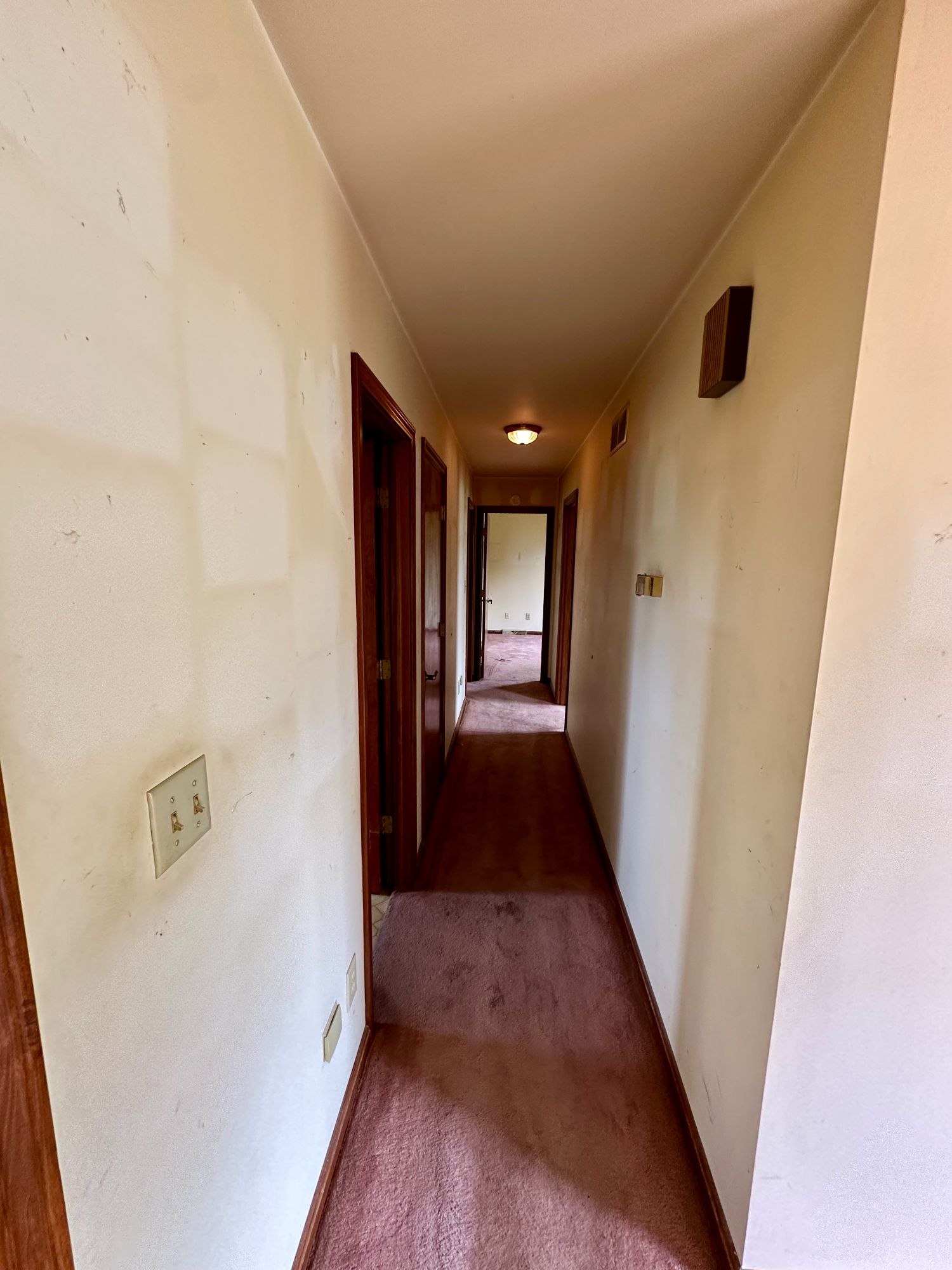 Lot image 17