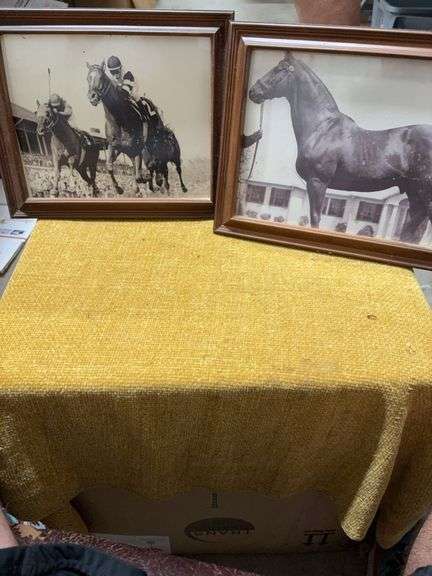 TWO HORSE PICTURES image