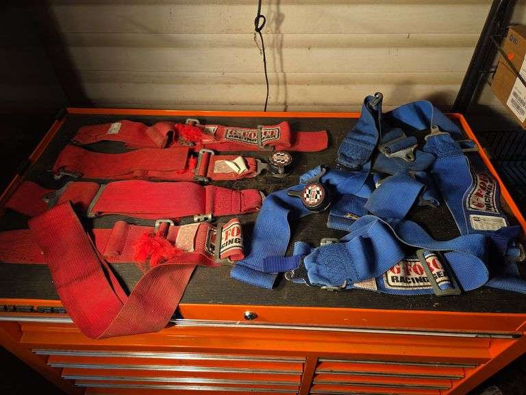 G-Force Racing Gear Harness Belts (Red and Blue) image