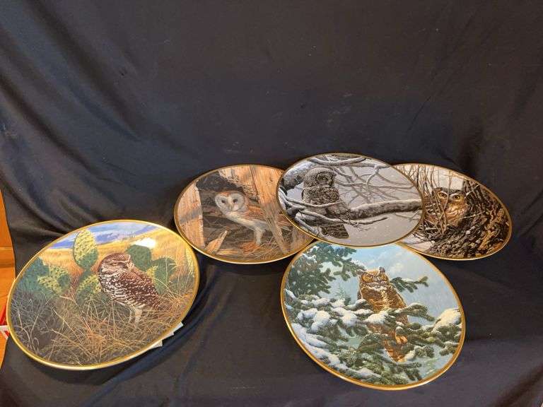 Noble Owls of America Plate Collection by Spode (Set of 5) image