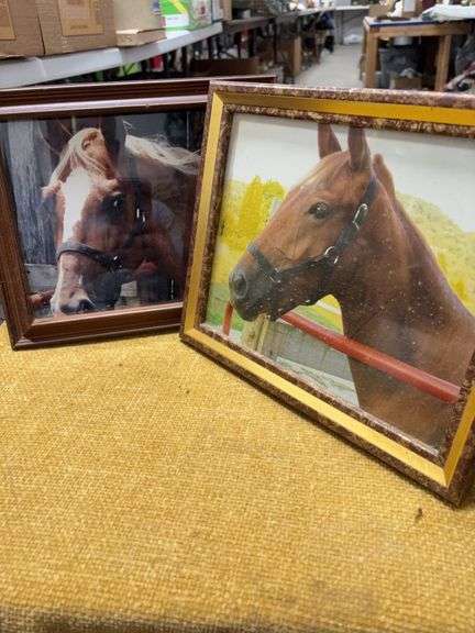 TWO HORSE PICTURES image