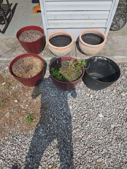 Assorted Decorative Garden Planters image