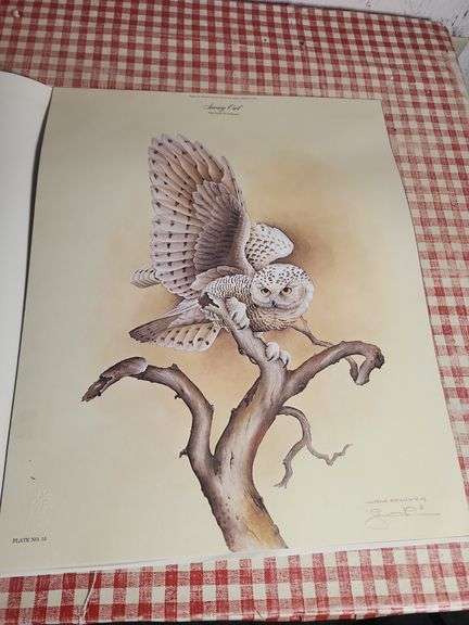 Jim Oliver Snowy Owl Art Print image
