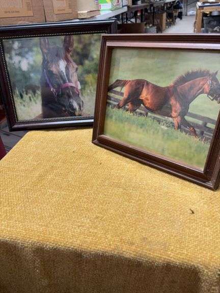 TWO HORSE PICTURES image