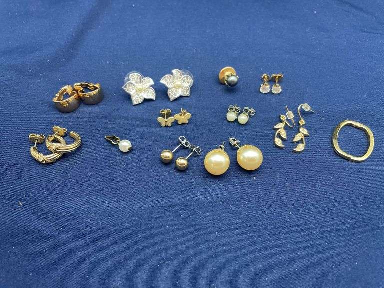 Assorted Lot of Fashion Earrings image