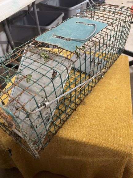 SMALL CATCH AND RELEASE ANIMAL TRAP image