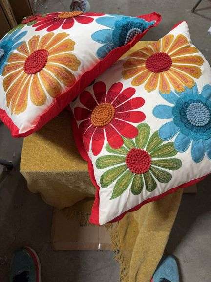 TWO PIER ONE PILLOWS image