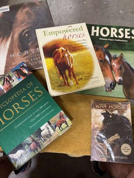 FIVE HORSE BOOKS image