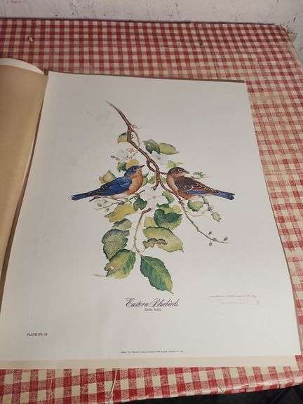 Jim Oliver LTD Wildlife Artist Eastern Bluebirds Print Plate No. 19 image