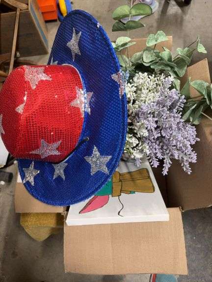 BOX OF MISC, COWBOY HAT, TAYLOR SWIFT BUCKET, AND OTHER TOYS image