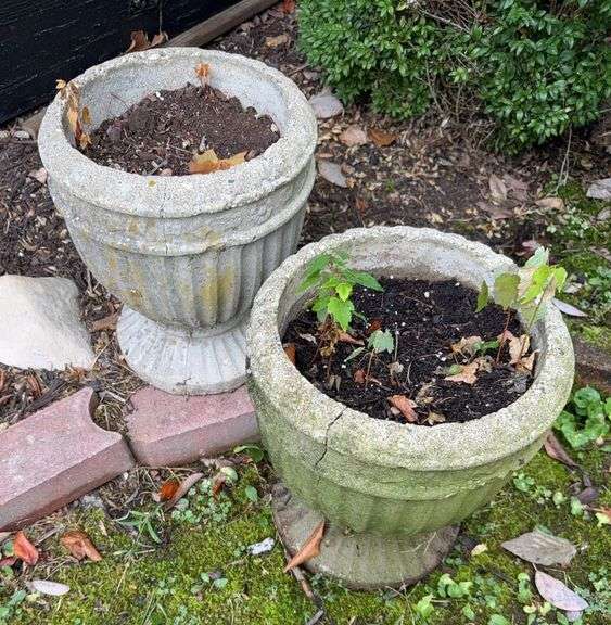 Pair of Concrete Garden Urn Planters image